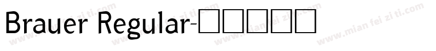 Brauer Regular字体转换